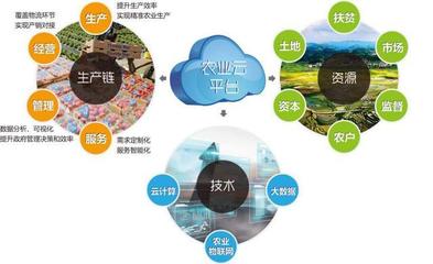 他山之石可以攻玉 借鑒美國農業(yè)信息化經驗，以信息技術咨詢服務升級中國農民