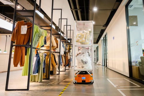 shein出海啟示錄 從打造服裝產(chǎn)業(yè)數(shù)字化到建出海高速路